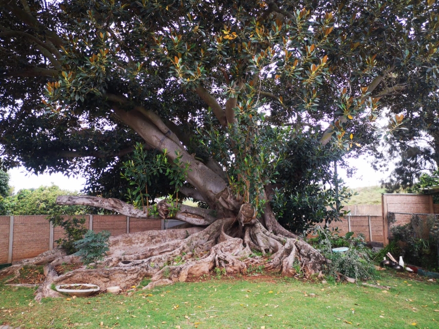3 Bedroom Property for Sale in Retief Eastern Cape